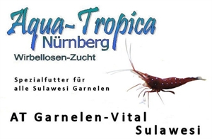 Image de Crevettes vital Sulawesi