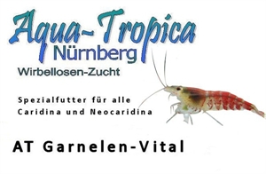 Image de AT Crevettes  Vital