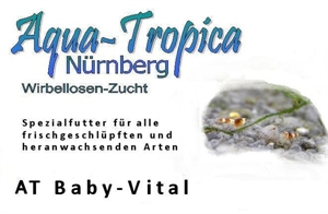 Image de Baby Vital A T