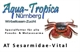 Image de Sesarmidae-Vital