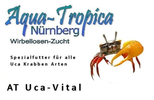 Image de Uca-Vital