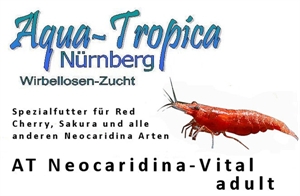 Image de AT Neocaridina-VITAL