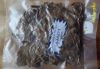 Image de fragments feuilles de catappa 50 g