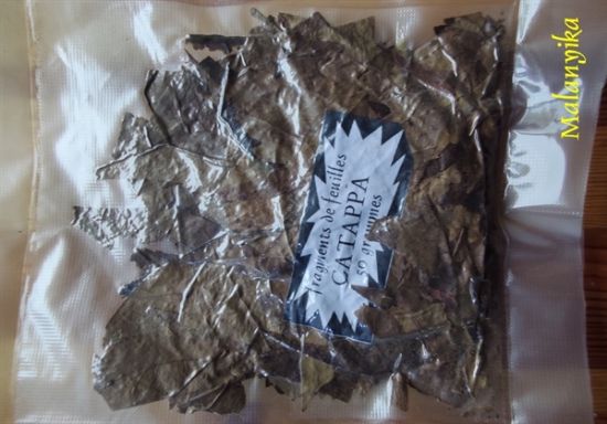 Image de fragments feuilles de catappa 50 g